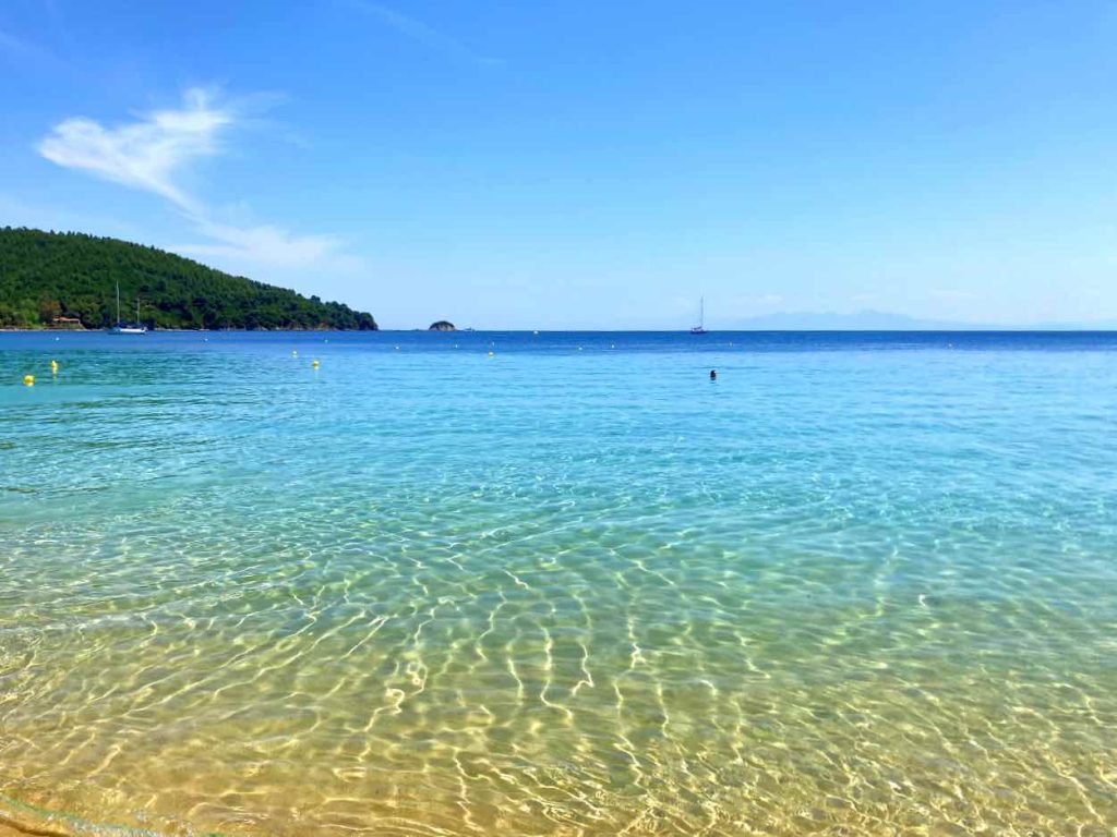 Τα κρυστάλλινα νερά και η χρυσή αμμουδιά στην παραλία των Κουκουναριών, μια από τις καλύτερα παραλίες στη Σκιάθος