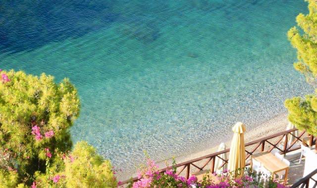 Η παραλία «Μοναστήρι, η καλύτερη παραλία στον Πόρο με καταγάλανα, κρυστάλλινα νερά, ελαιώνες και θέα στην Πελοπόννησο